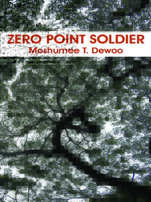 cover image of Zero Point Soldier